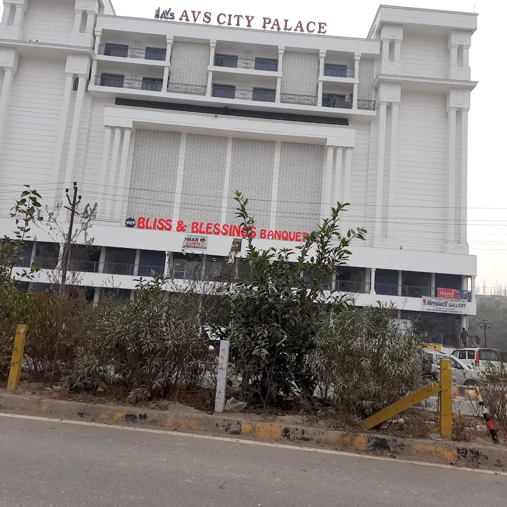 AVS City Palace